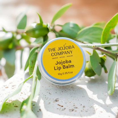 Jojoba Lip Balm